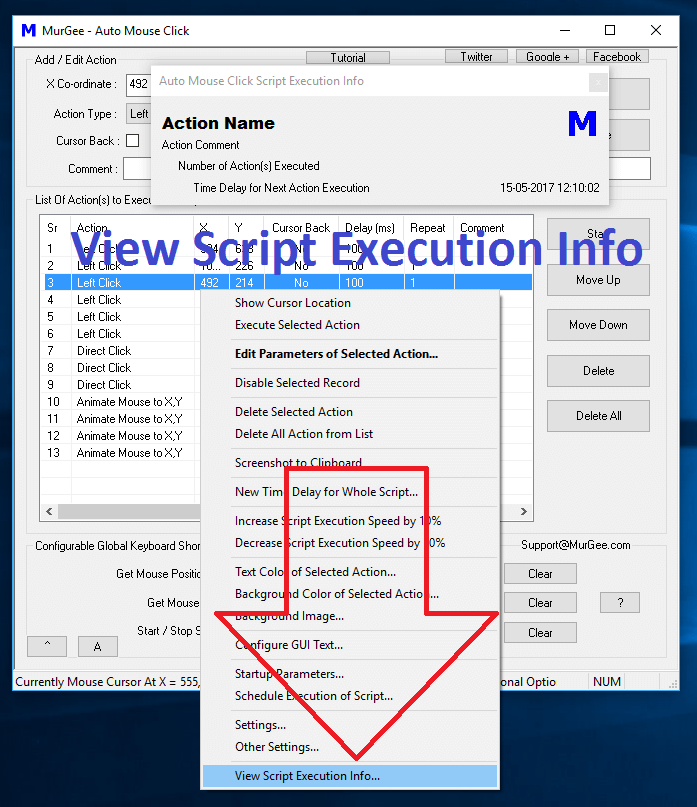 Script Execution Info Window